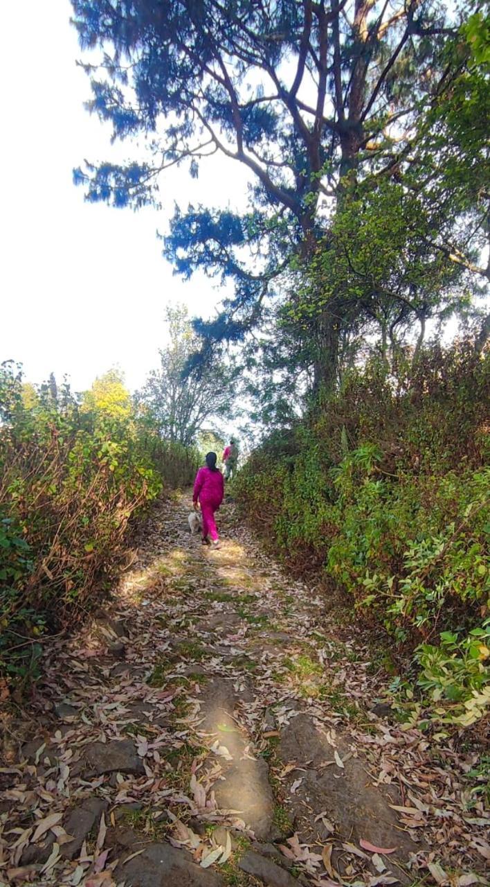 Vila Frozen Monks Kodaikanal Exteriér fotografie