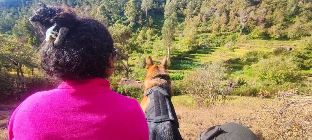 Vila Frozen Monks Kodaikanal Exteriér fotografie
